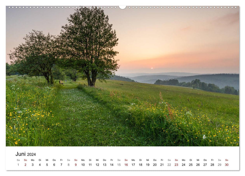 Sauerland - My favorite country (CALVENDO Premium Wall Calendar 2024) 