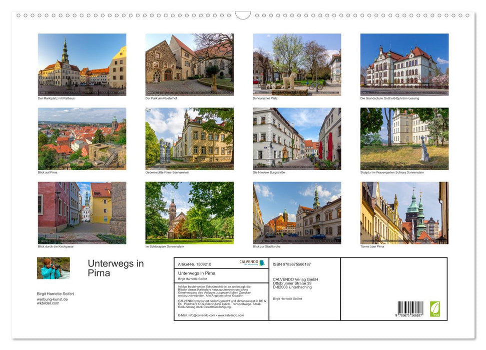 Out and about in Pirna (CALVENDO wall calendar 2024) 