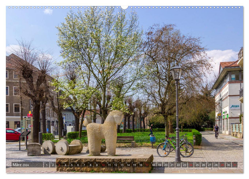 Out and about in Pirna (CALVENDO wall calendar 2024) 