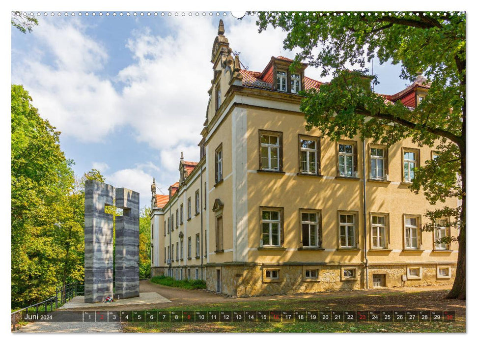 Out and about in Pirna (CALVENDO wall calendar 2024) 