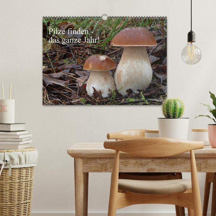 Find mushrooms - all year round! (CALVENDO wall calendar 2024) 