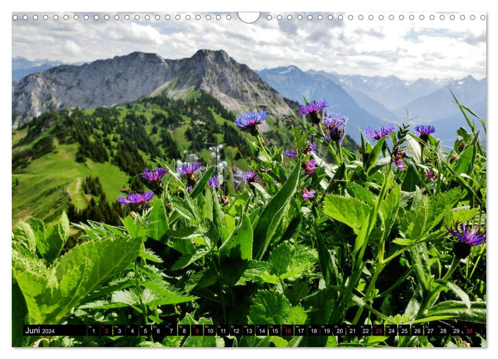 Allgäu mountain views - Feel free, think freely, let go... (CALVENDO wall calendar 2024) 