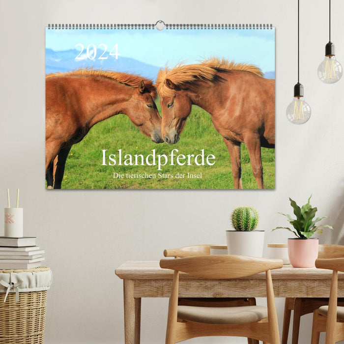 Icelandic horses - the animal stars of the island (CALVENDO wall calendar 2024) 