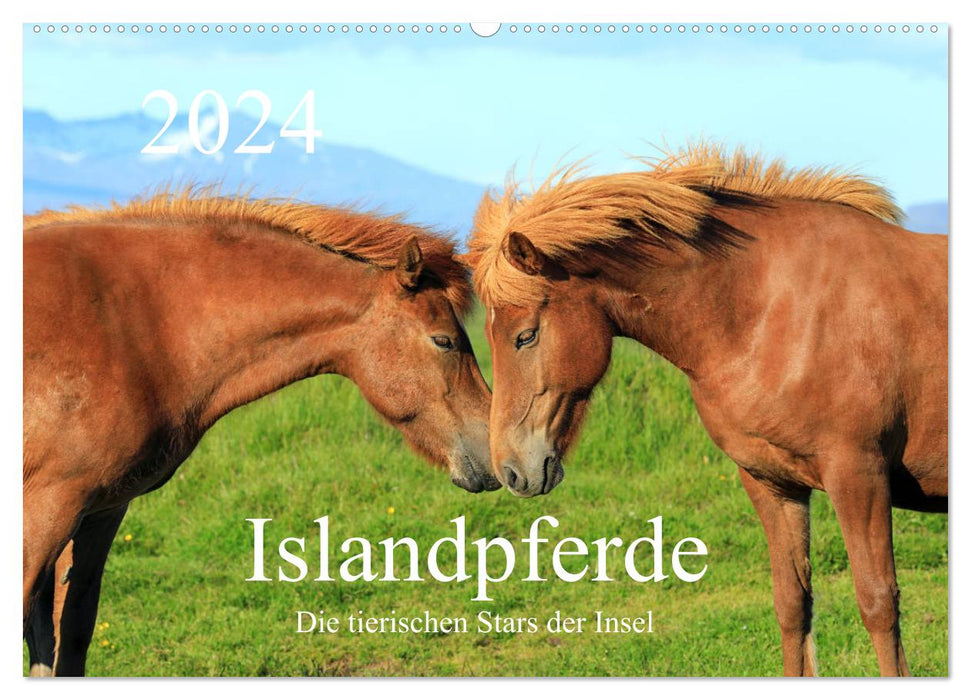 Icelandic horses - the animal stars of the island (CALVENDO wall calendar 2024) 