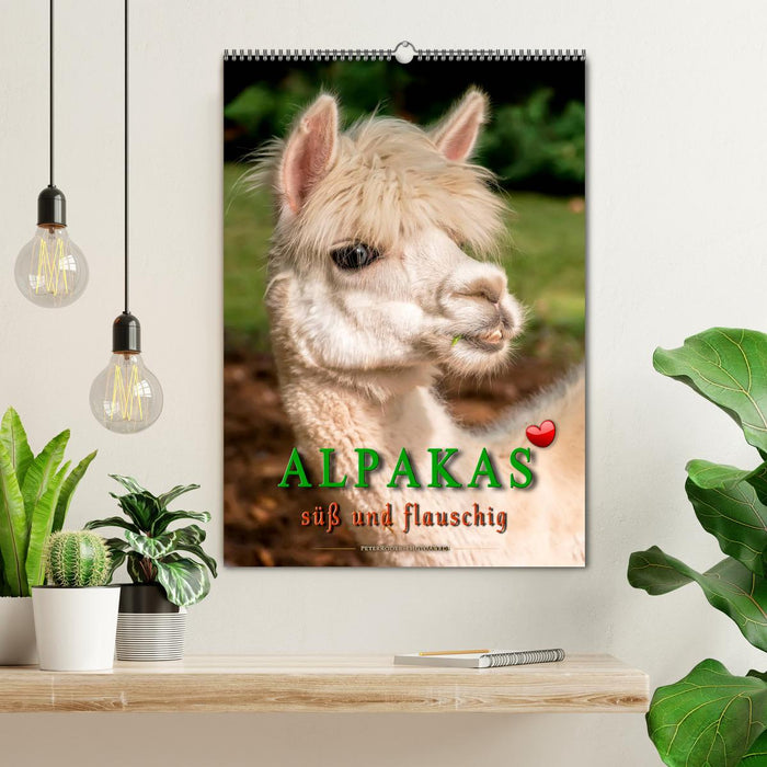Alpakas - süß und flauschig (CALVENDO Wandkalender 2024)