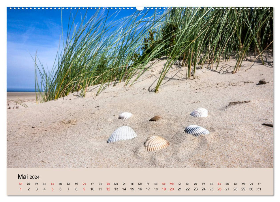 Nordseeinsel Borkum - Inselrausch im Hochseeklima (CALVENDO Wandkalender 2024)