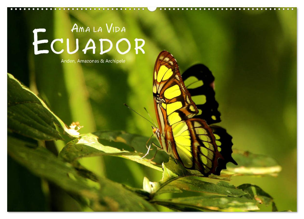 Ama la Vida Ecuador (CALVENDO Wandkalender 2024)