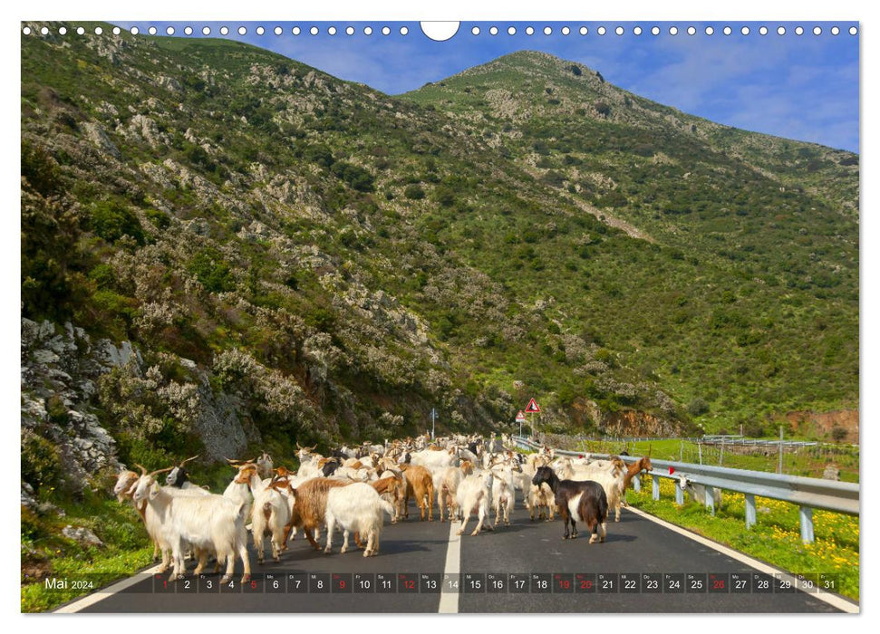 Sardinia Sardigna Sardegna Sardenya 2024 (CALVENDO wall calendar 2024) 