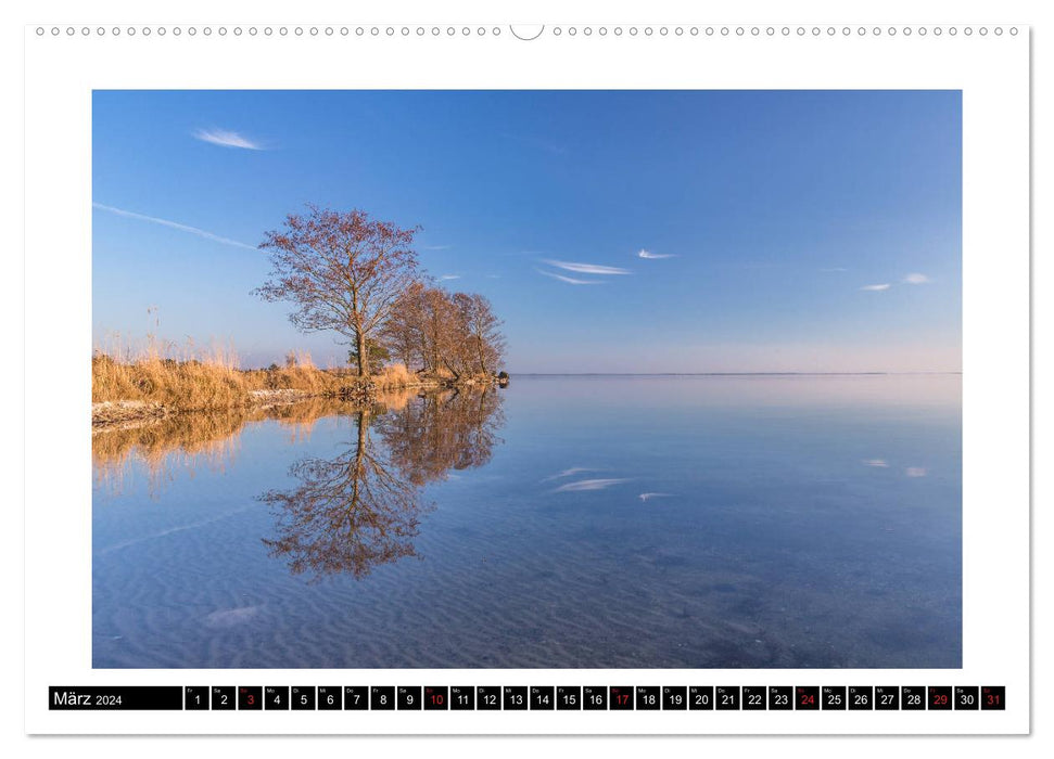 Die Müritz - Naturparadies der Mecklenburgischen Seenplatte (CALVENDO Wandkalender 2024)