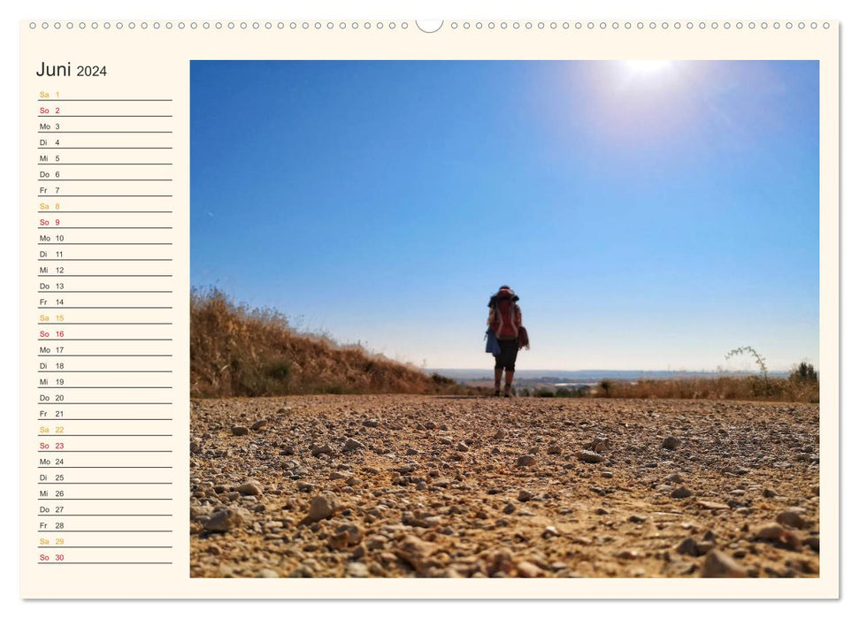 Buen Camino - Pilgerreise auf dem Jakobsweg - Camino Francés (CALVENDO Wandkalender 2024)