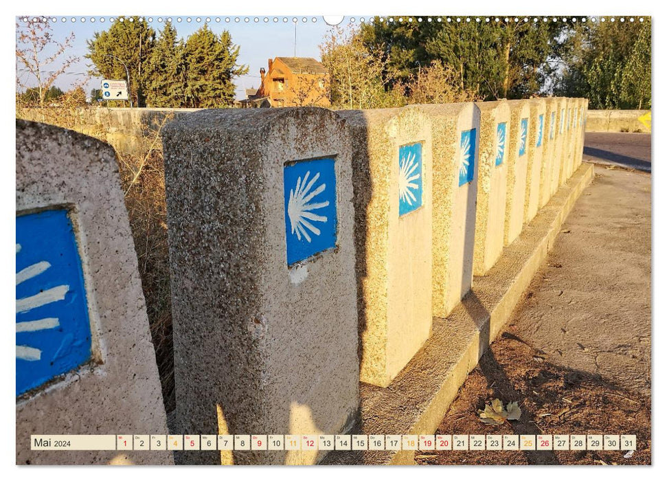 Buen Camino - pilgern auf dem Jakobsweg - Camino Francés (CALVENDO Wandkalender 2024)