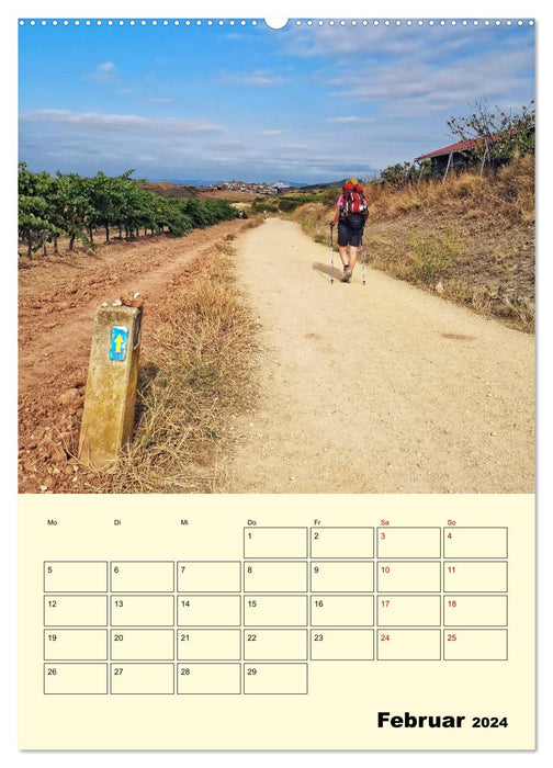 Buen Camino - Mein Jakobsweg - Camino Francés (CALVENDO Wandkalender 2024)