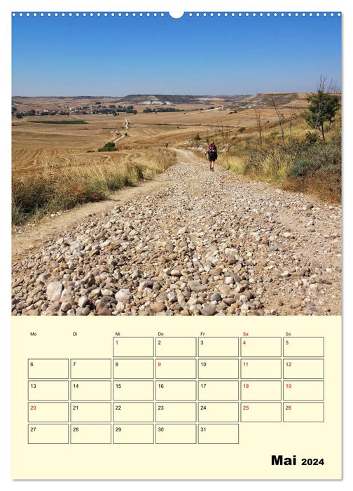 Buen Camino - Mein Jakobsweg - Camino Francés (CALVENDO Wandkalender 2024)