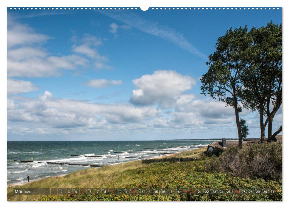 Ahrenshoop - Stimmungsbilder eines Künstlerortes (CALVENDO Wandkalender 2024)