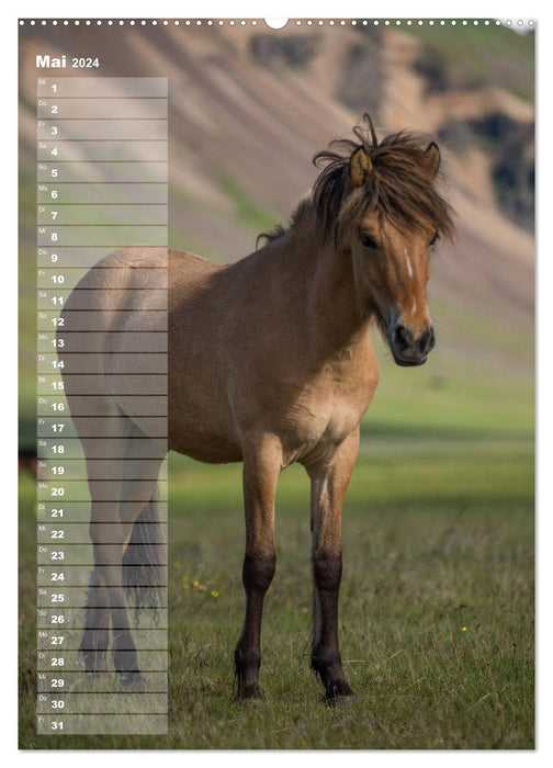 My ICELAND HORSE planner - birthdays, farm parties, tournaments (CALVENDO Premium Wall Calendar 2024) 