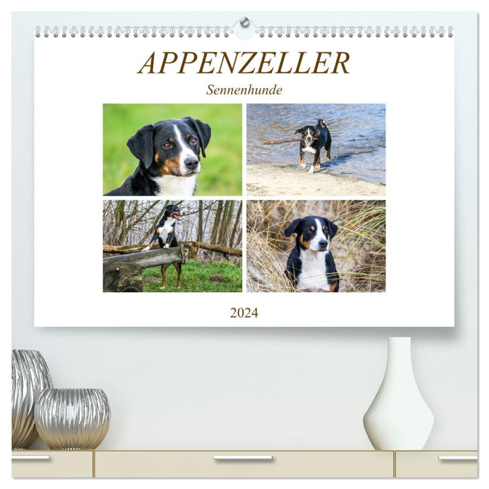 Appenzeller Mountain Dogs (CALVENDO Premium Wall Calendar 2024) 