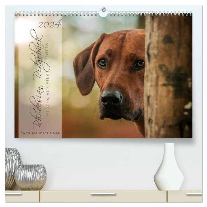 Rhodesian Ridgeback - Herzen auf vier Pfoten (CALVENDO Premium Wandkalender 2024)