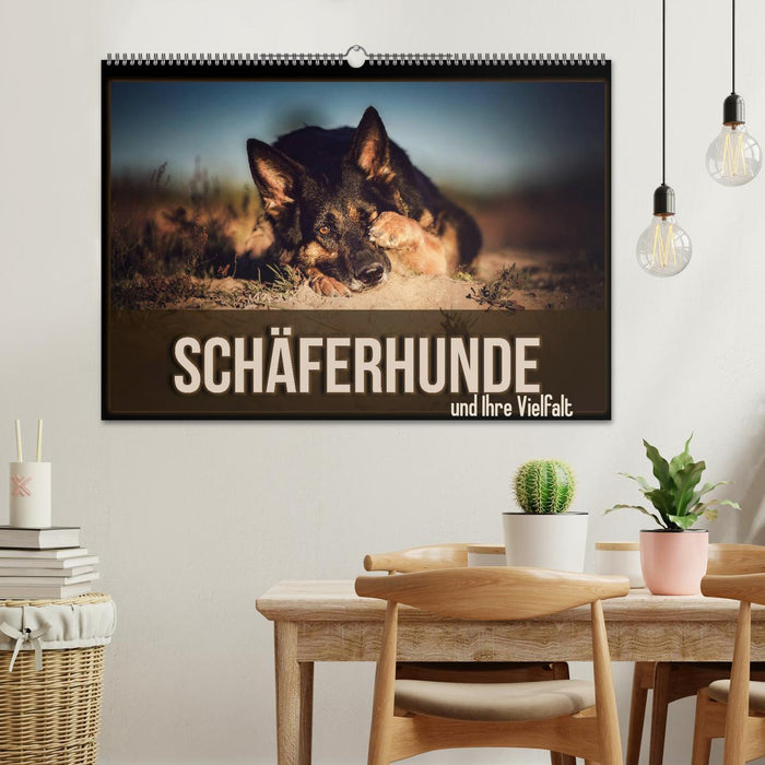 Schäferhunde und Ihre Vielfalt (CALVENDO Wandkalender 2024)