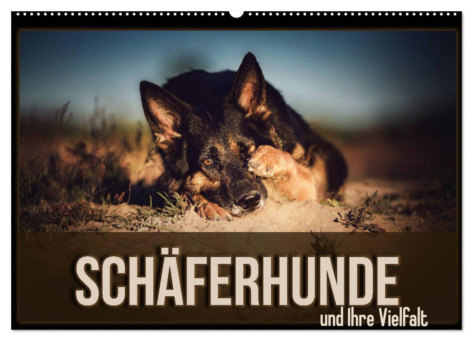 Schäferhunde und Ihre Vielfalt (CALVENDO Wandkalender 2024)