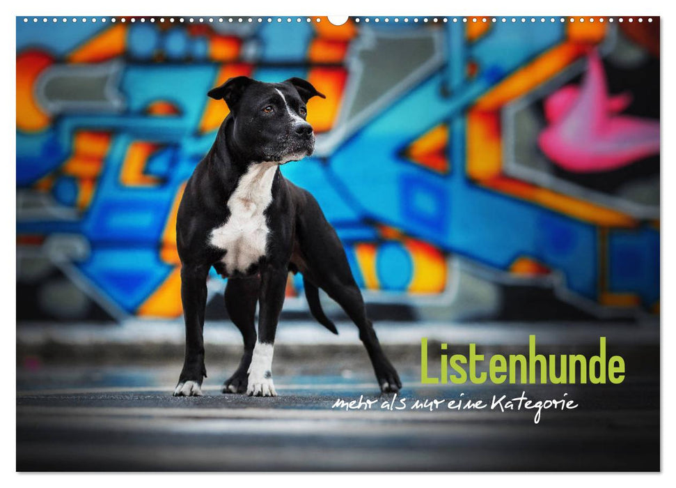 Listenhunde - mehr als nur eine Kategorie (CALVENDO Wandkalender 2024)