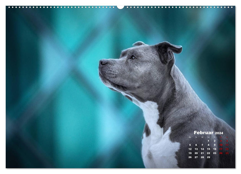 Listenhunde - mehr als nur eine Kategorie (CALVENDO Wandkalender 2024)