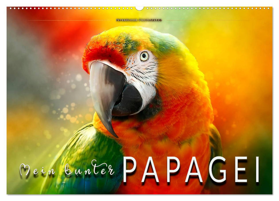 Mein bunter Papagei (CALVENDO Wandkalender 2024)