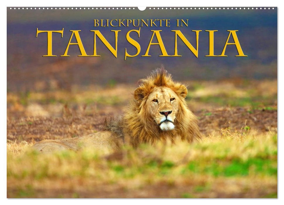 Blickpunkte Tansanias (CALVENDO Wandkalender 2024)