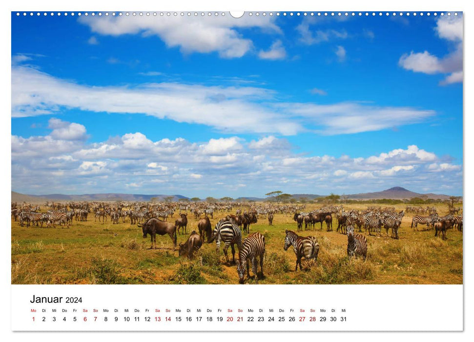Blickpunkte Tansanias (CALVENDO Wandkalender 2024)