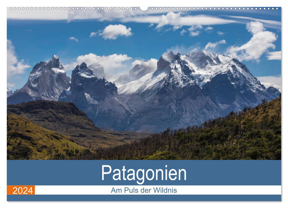 Patagonien - Am Puls der Wildnis (CALVENDO Wandkalender 2024)