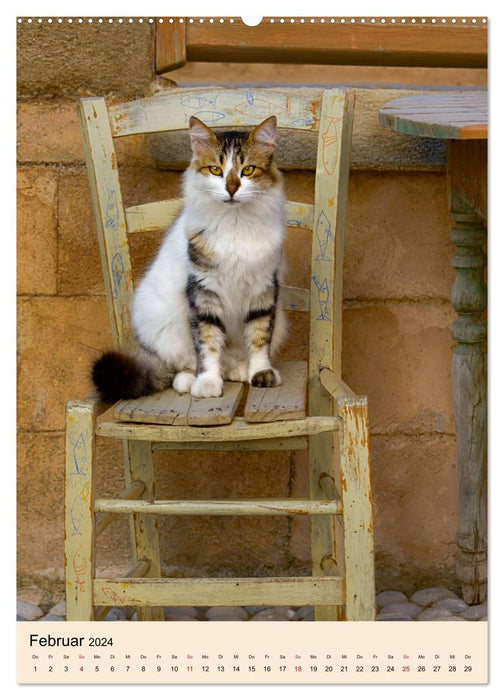 Katzen von Rhodos (CALVENDO Wandkalender 2024)