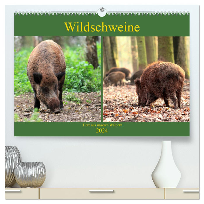 Wildschweine - Tiere aus unseren Wäldern (CALVENDO Premium Wandkalender 2024)