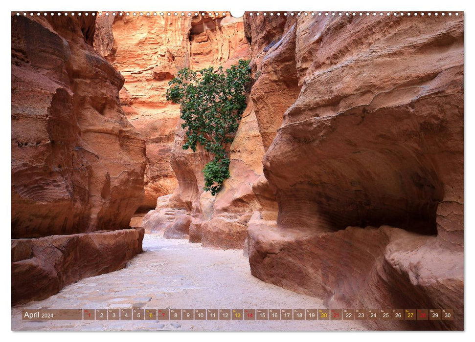 Jordanien - Ein Land der Superlative (CALVENDO Premium Wandkalender 2024)