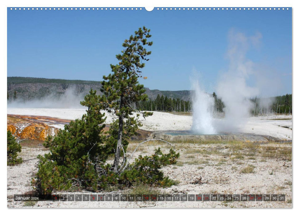 Farben des Yellowstone National Park 2024 (CALVENDO Premium Wandkalender 2024)