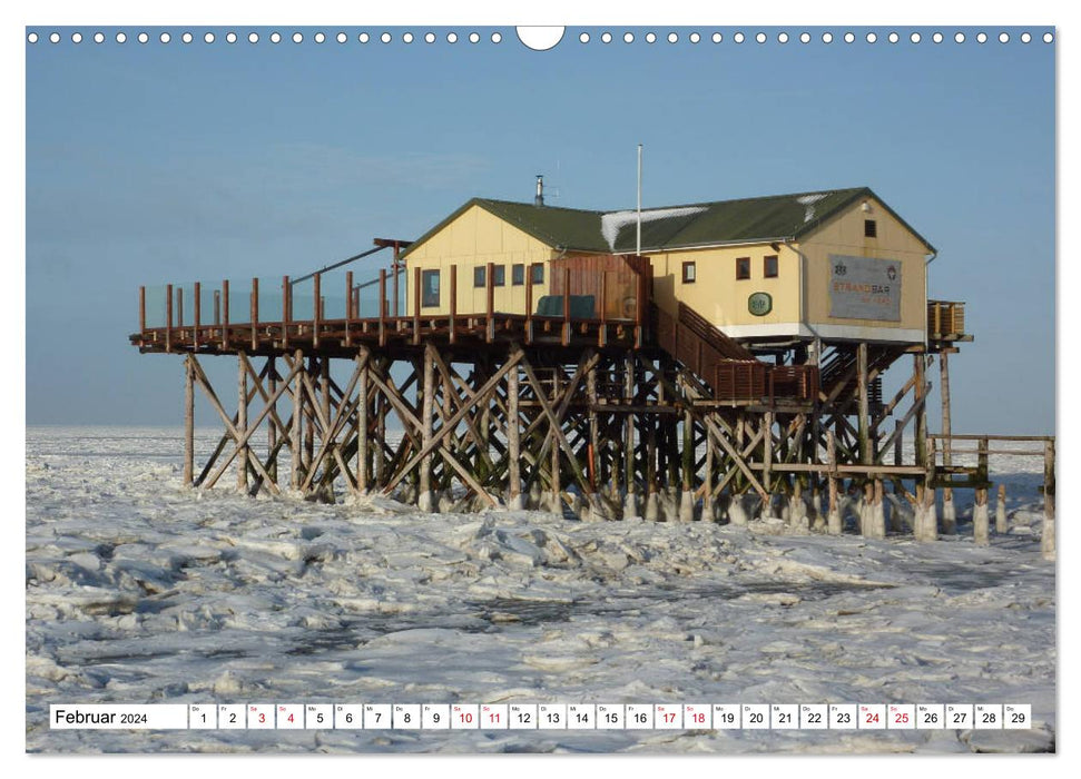 Impressionen aus Sankt Peter-Ording (CALVENDO Wandkalender 2024)