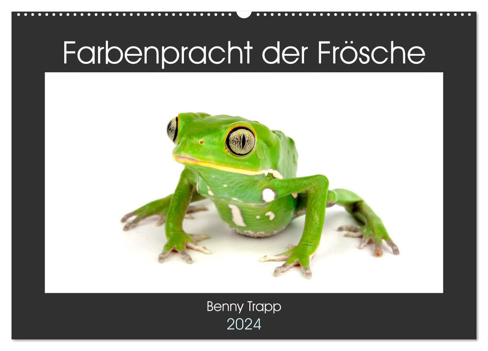 Farbenpracht der Frösche (CALVENDO Wandkalender 2024)