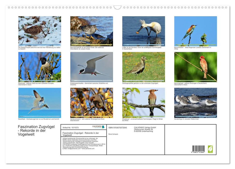 Faszination Zugvögel - Rekorde in der Vogelwelt (CALVENDO Wandkalender 2024)