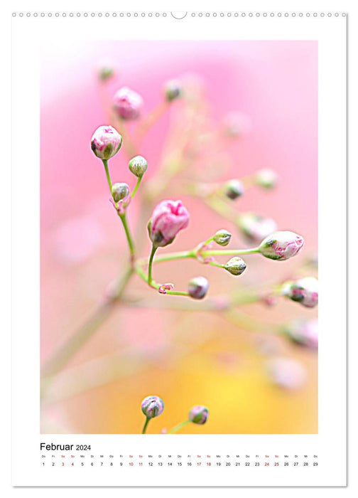 Lass Blumen sprechen (CALVENDO Wandkalender 2024)