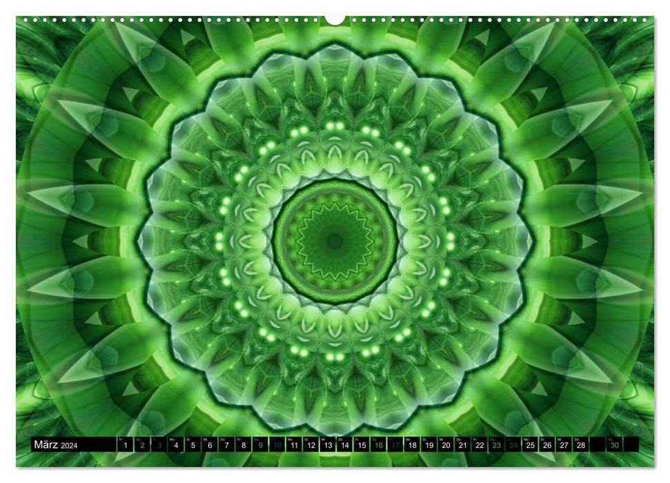 Energie - Mandalas in Grün, Erneuerung durch die Farbe Grün (CALVENDO Premium Wandkalender 2024)