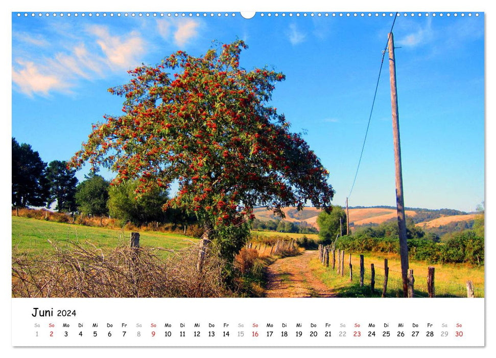 Jakobsweg - Camino Primitivo (CALVENDO Premium Wandkalender 2024)