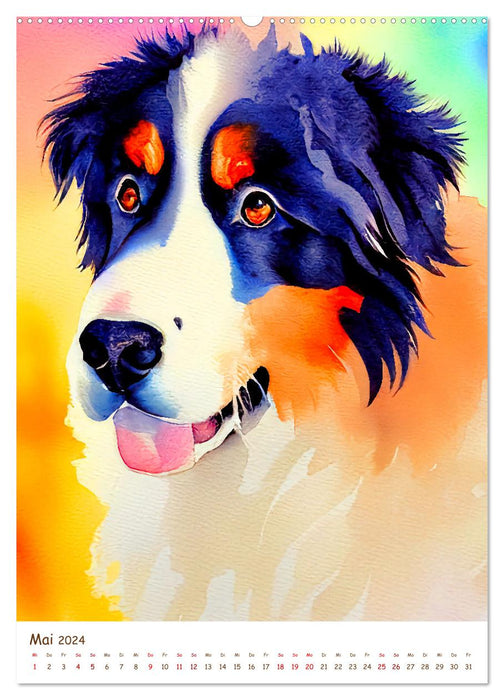 Berner Sennenhund 2024. Schöne Aquarelle der schweizer Hunderasse (CALVENDO Wandkalender 2024)