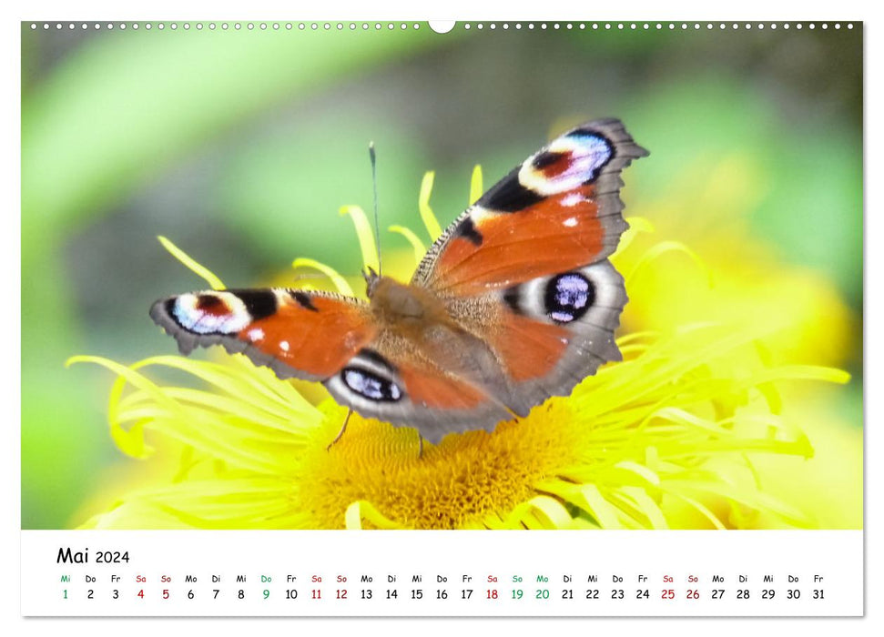 Wunderbare Tierwelt Deutschlands (CALVENDO Premium Wandkalender 2024)