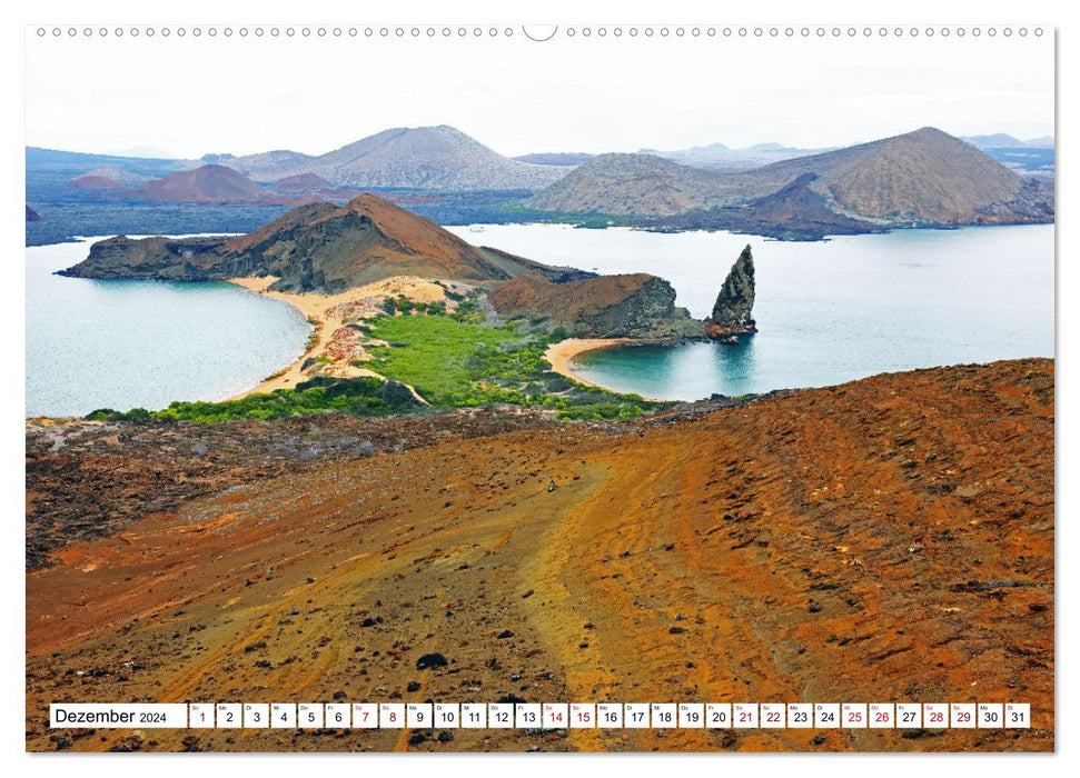 Galápagos - The Enchanted Islands (CALVENDO Premium Wall Calendar 2024) 