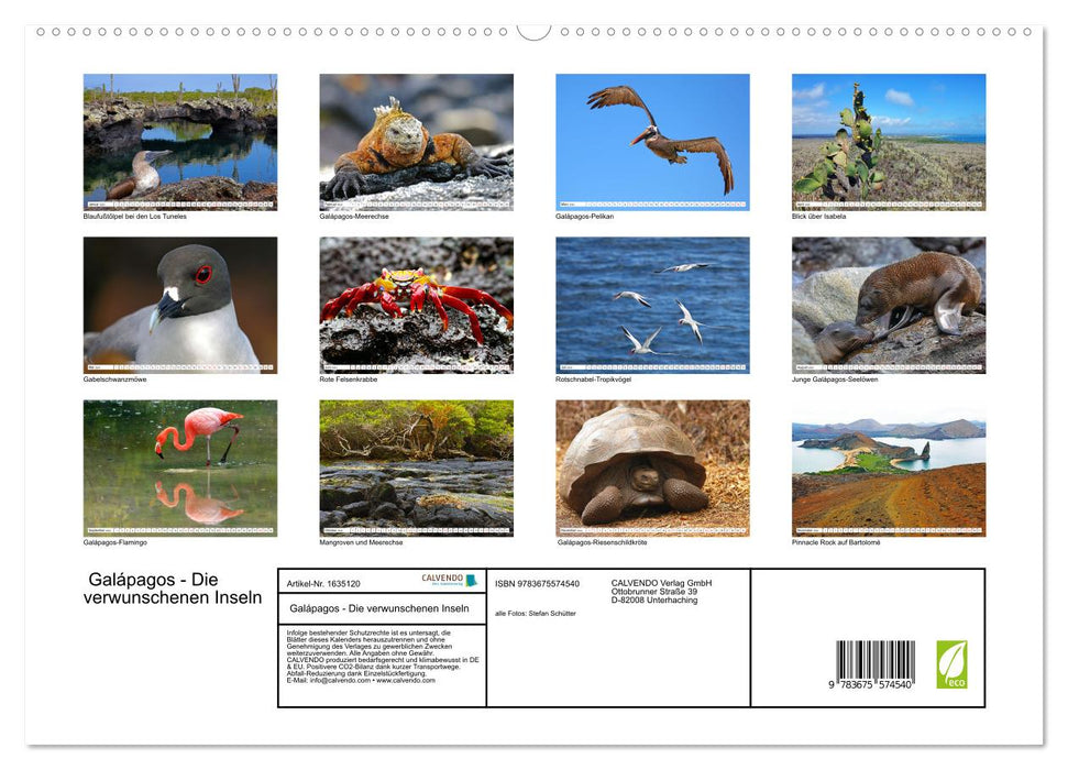 Galápagos - The Enchanted Islands (CALVENDO Premium Wall Calendar 2024) 