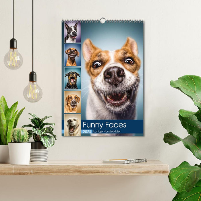 Funny Faces - Lustige Hundebilder (CALVENDO Wandkalender 2024)