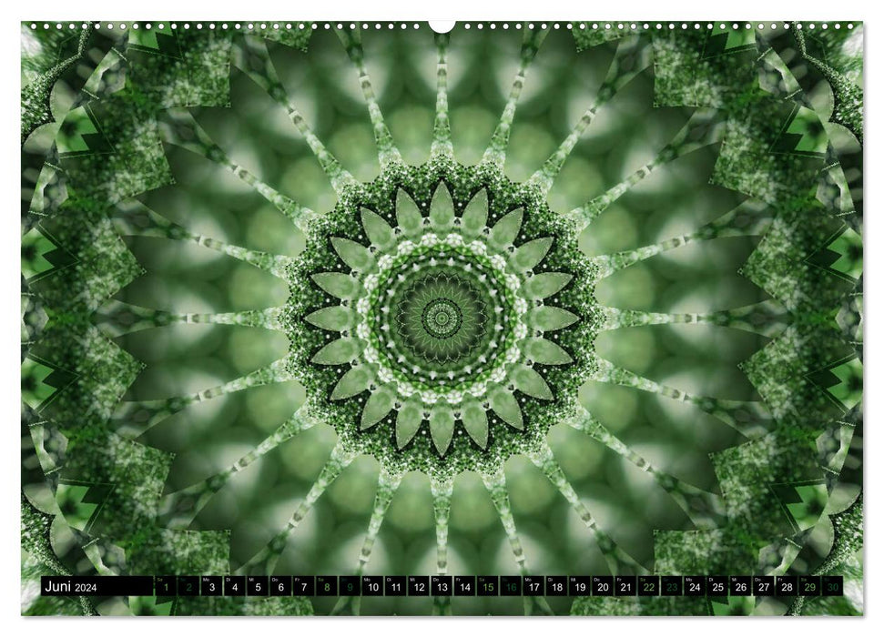 Energie - Mandalas in Grün, Erneuerung durch die Farbe Grün (CALVENDO Wandkalender 2024)