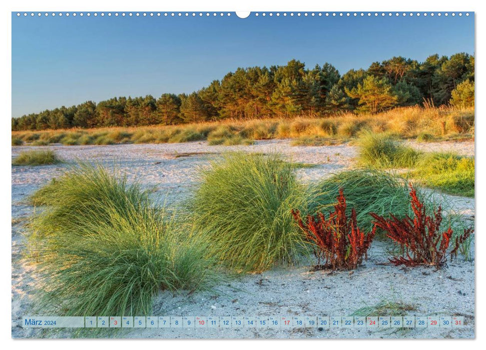 Fischland-Darß-Zingst 2024 Impressionen einer Halbinsel (CALVENDO Wandkalender 2024)