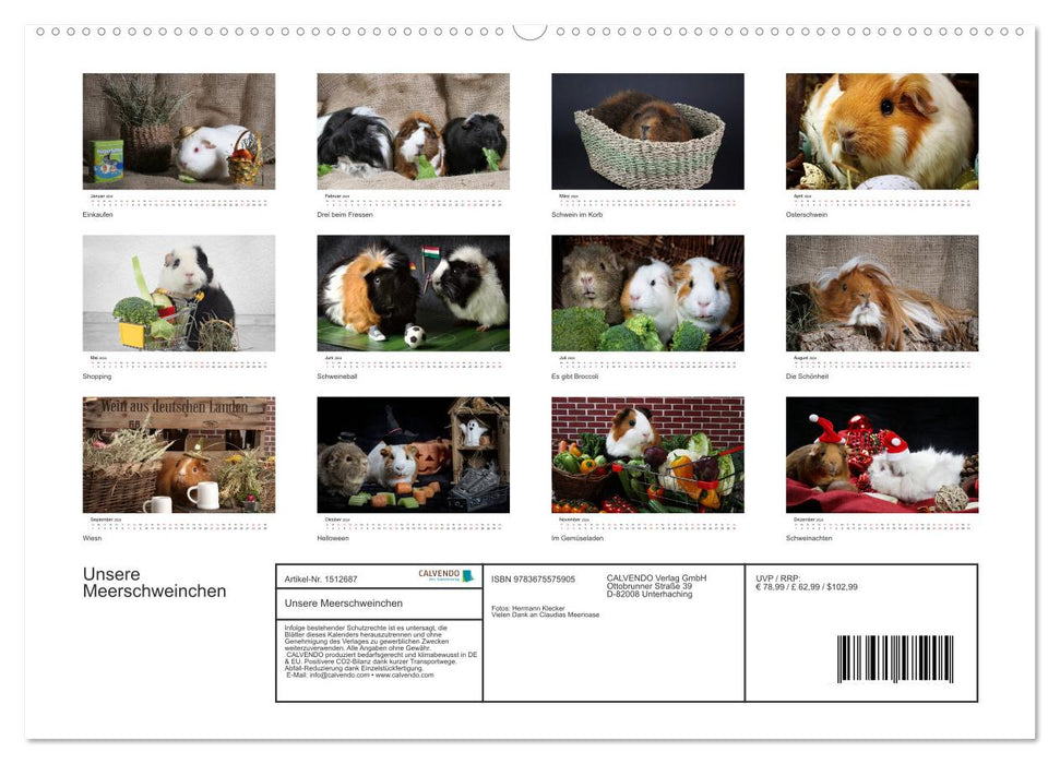 Our guinea pigs (CALVENDO Premium Wall Calendar 2024) 