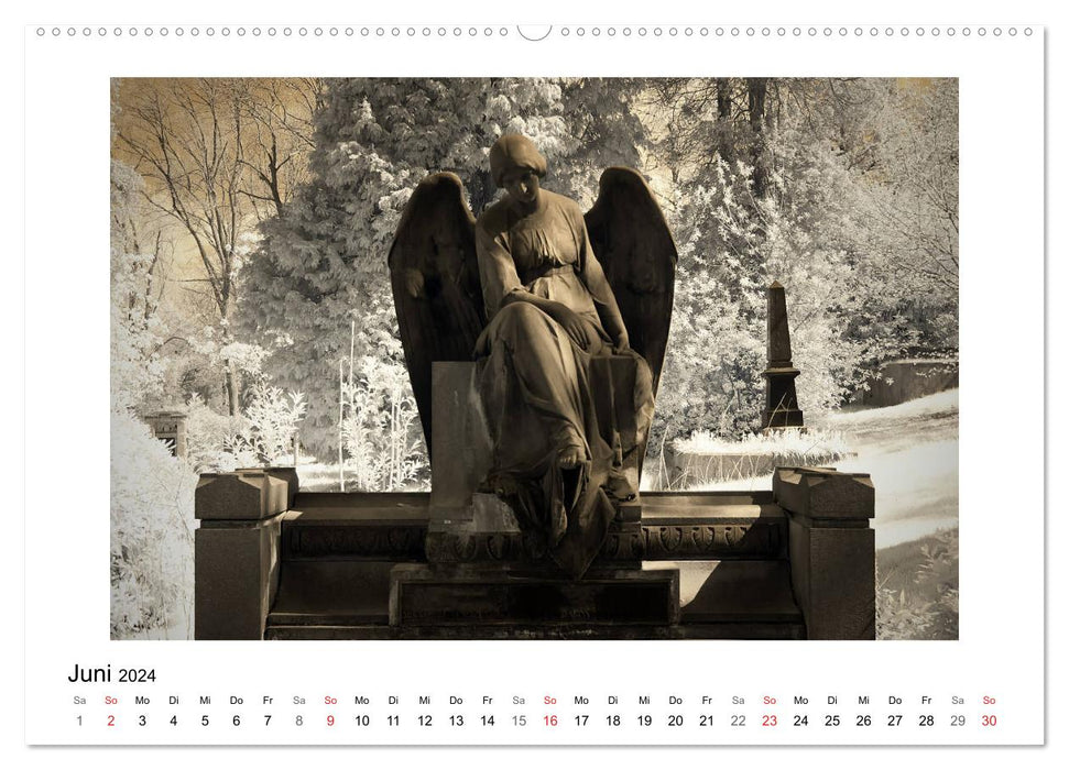 your guardian angel - Dein Schutzengel für jeden Tag (CALVENDO Premium Wandkalender 2024)