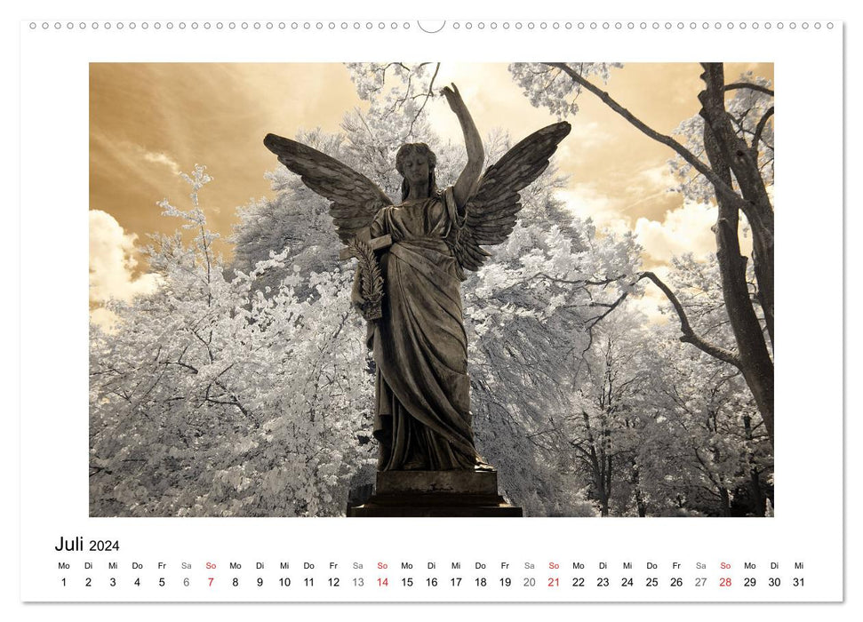 your guardian angel - Dein Schutzengel für jeden Tag (CALVENDO Premium Wandkalender 2024)