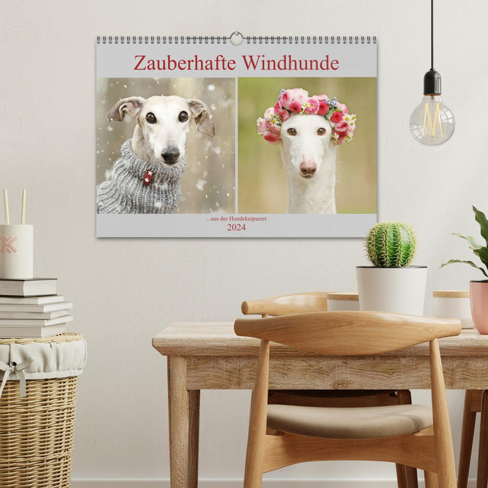 Magical greyhounds (CALVENDO wall calendar 2024) 